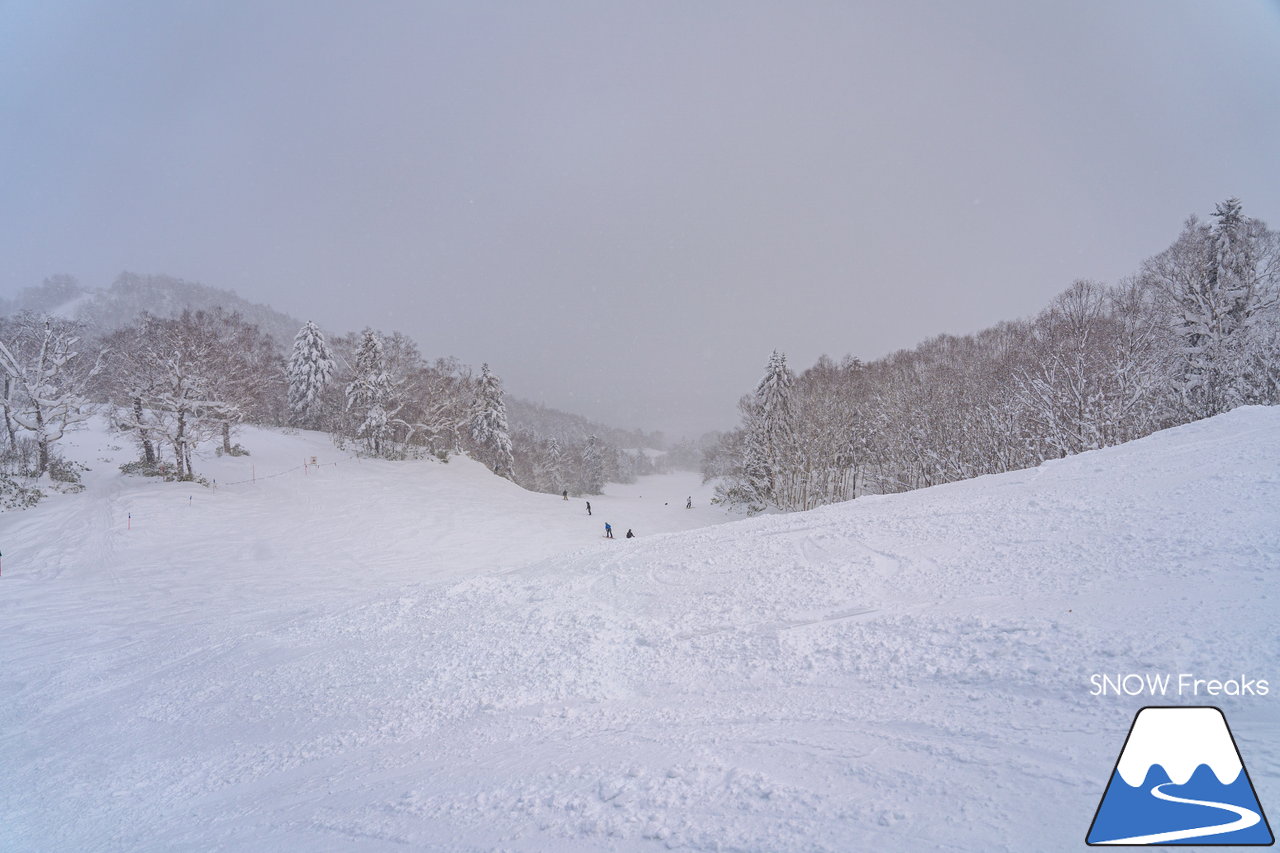 富良野スキー場｜標高1,074ｍ。富良野ZONE山頂エリア本日開放！山頂から山麓まで滑り応えたっぷり標高差約800ｍのロングダウンヒルと、ふわふわと舞う粉雪を同時に楽しめる富良野スキー場って、やっぱり凄い☆